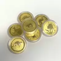  1/2oz Random Gold Coin